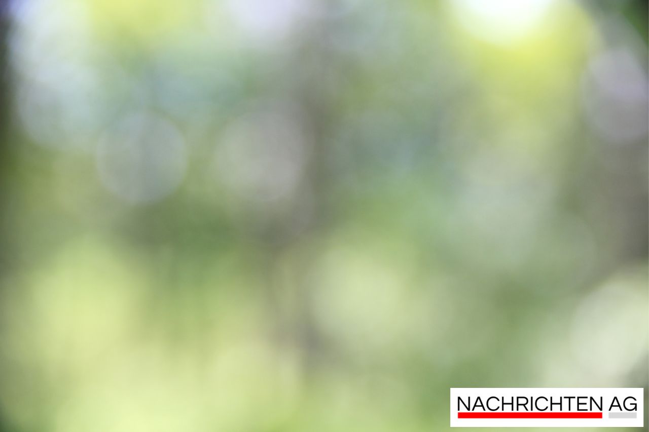 Solar-Erbe in Gefahr: Meyer Burger meldet Insolvenz an!