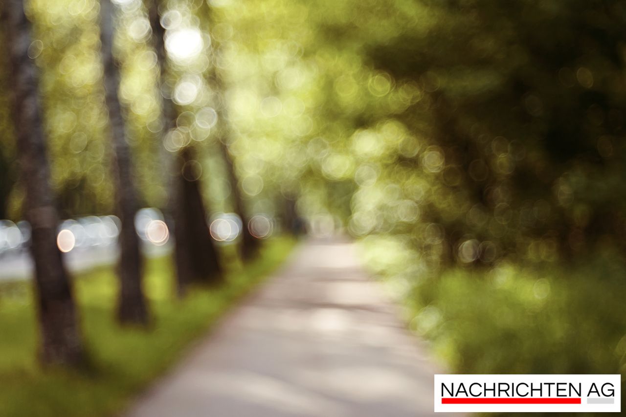 Dresdner Kunstverein erobert mit ADKV-Preis die Kunstszene!